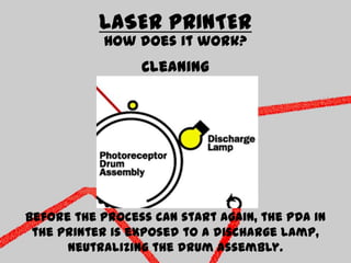 LASER PRINTERHow does it work?CleaningBefore the process can start again, the PDA in the printer is exposed to a discharge lamp, neutralizing the drum assembly. 