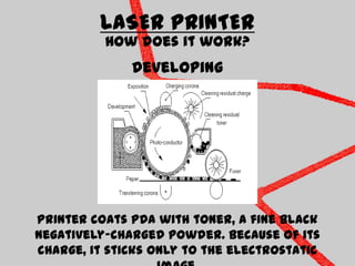 LASER PRINTERHow does it work?DevelopingPrinter coats PDA with toner, a fine black negatively-charged powder. Because of its charge, it sticks only to the electrostatic image.