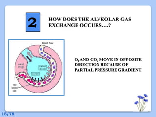 HOW DOES THE ALVEOLAR GAS
EXCHANGE OCCURS….?
O2 AND CO2 MOVE IN OPPOSITE
DIRECTION BECAUSE OF
PARTIAL PRESSURE GRADIENT.
2
15/78
 