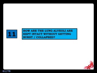 HOW ARE THE LUNG ALVEOLI ARE
KEPT INTACT WITHOUT GETTING
BURST / COLLAPSED?
11
61/78
 