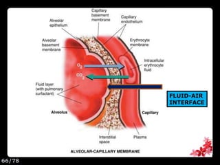 FLUID-AIR
INTERFACE
66/78
 