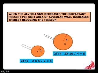 r
R
2T/2 2 X 5 / 2 = 5
2T/4 2X 10 / 4 = 5
4
2
WHEN THE ALVEOLI SIZE DECREASES,THE SURFACTANT
PRESENT PER UNIT AREA OF ALVEOLAR WALL INCREASES
THEREBY REDUCING THE TENSION
68/78
 
