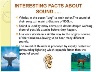 Whales in the ocean "sing" to each other. The sound of their song can travel a distance of 800km.  Sound is used by many animals to detect danger, warning them of possible attacks before they happen. Our ears vibrate in a similar way to the original source of the vibration, allowing us to hear many different sounds. The sound of thunder is produced by rapidly heated air surrounding lightning which expands faster than the speed of sound. 