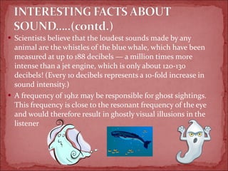 Scientists believe that the loudest sounds made by any animal are the whistles of the blue whale, which have been measured at up to 188 decibels — a million times more intense than a jet engine, which is only about 120-130 decibels! (Every 10 decibels represents a 10-fold increase in sound intensity.)  A frequency of 19hz may be responsible for ghost sightings. This frequency is close to the resonant frequency of the eye and would therefore result in ghostly visual illusions in the listener 