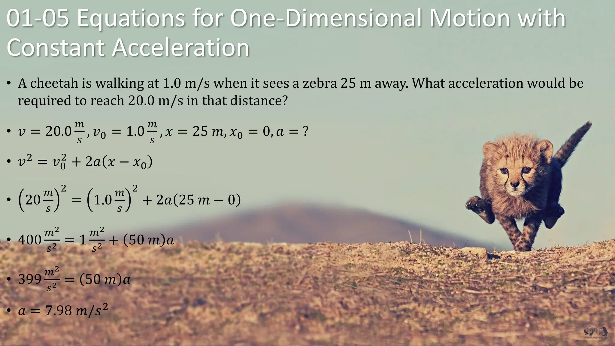 01-05 Equations for One-Dimensional Motion with
Constant Acceleration
• A cheetah is walking at 1.0 m/s when it sees a zebra 25 m away. What acceleration would be
required to reach 20.0 m/s in that distance?
• 𝑣 = 20.0
𝑚
𝑠
, 𝑣0 = 1.0
𝑚
𝑠
, 𝑥 = 25 𝑚, 𝑥0 = 0, 𝑎 = ?
• 𝑣2
= 𝑣0
2
+ 2𝑎 𝑥 − 𝑥0
• 20
𝑚
𝑠
2
= 1.0
𝑚
𝑠
2
+ 2𝑎 25 𝑚 − 0
• 400
𝑚2
𝑠2 = 1
𝑚2
𝑠2 + 50 𝑚 𝑎
• 399
𝑚2
𝑠2 = 50 𝑚 𝑎
• 𝑎 = 7.98 𝑚/𝑠2
 
