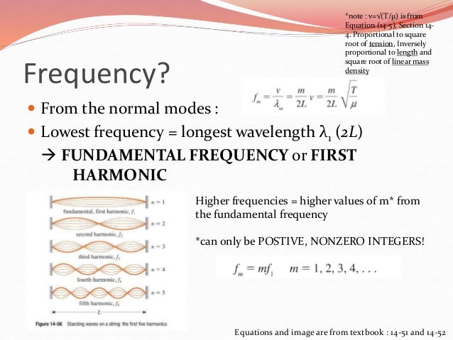 PHYS101 Learning Object (LO6)
