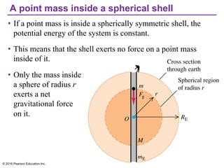 A point mass inside a spherical shell
• If a point mass is inside a spherically symmetric shell, the
potential energy of the system is constant.
• This means that the shell exerts no force on a point mass
inside of it.
• Only the mass inside
a sphere of radius r
exerts a net
gravitational force
on it.
© 2016 Pearson Education Inc.
 