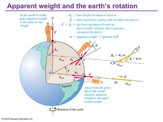 Apparent weight and the earth’s rotation
© 2016 Pearson Education Inc.
 