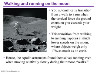 Walking and running on the moon
• You automatically transition
from a walk to a run when
the vertical force the ground
exerts on you exceeds your
weight.
• This transition from walking
to running happens at much
lower speeds on the moon,
where objects weigh only
17% as much as on earth.
• Hence, the Apollo astronauts found themselves running even
when moving relatively slowly during their moon “walks.”
© 2016 Pearson Education Inc.
 