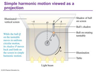 Simple harmonic motion viewed as a
projection
© 2016 Pearson Education Inc.
 