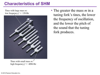 Characteristics of SHM
• The greater the mass m in a
tuning fork’s tines, the lower
the frequency of oscillation,
and the lower the pitch of
the sound that the tuning
fork produces.
© 2016 Pearson Education Inc.
 