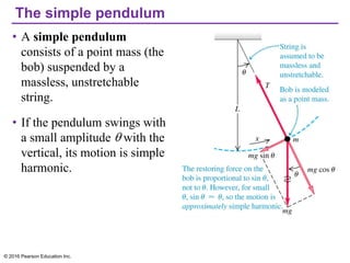 The simple pendulum
• A simple pendulum
consists of a point mass (the
bob) suspended by a
massless, unstretchable
string.
• If the pendulum swings with
a small amplitude with the
vertical, its motion is simple
harmonic.
© 2016 Pearson Education Inc.
 
