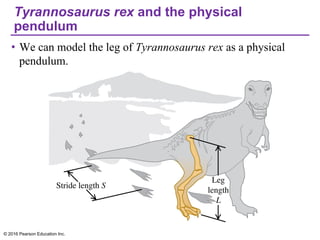 Tyrannosaurus rex and the physical
pendulum
• We can model the leg of Tyrannosaurus rex as a physical
pendulum.
© 2016 Pearson Education Inc.
 