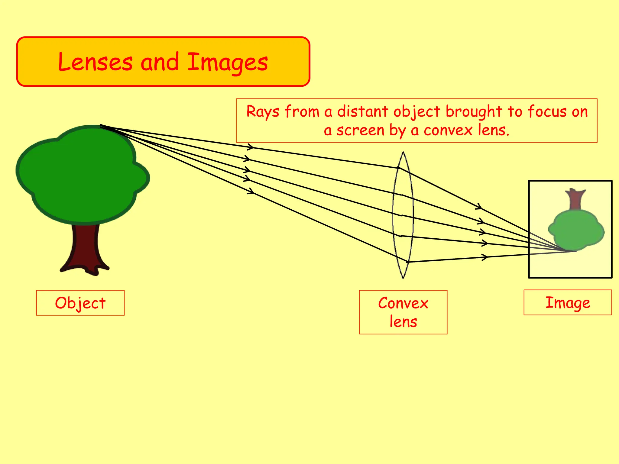 Lenses and Images
Object Convex
lens
Image
Rays from a distant object brought to focus on
a screen by a convex lens.
 