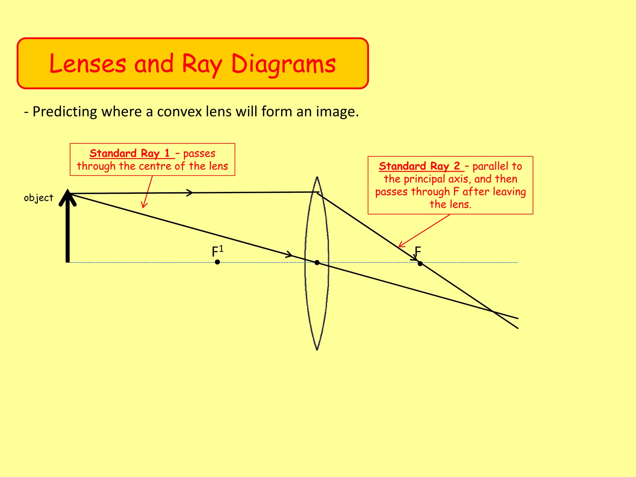Lenses and Ray Diagrams
- Predicting where a convex lens will form an image.
F1 F
Standard Ray 1 – passes
through the centre of the lens Standard Ray 2 – parallel to
the principal axis, and then
passes through F after leaving
the lens.
object
 