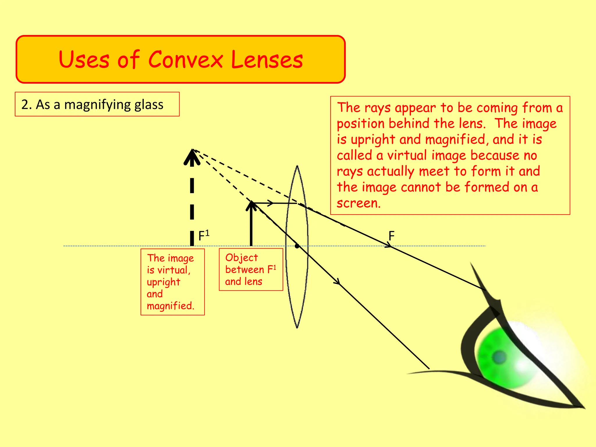 Uses of Convex Lenses
2. As a magnifying glass
F1 F
Object
between F1
and lens
The image
is virtual,
upright
and
magnified.
The rays appear to be coming from a
position behind the lens. The image
is upright and magnified, and it is
called a virtual image because no
rays actually meet to form it and
the image cannot be formed on a
screen.
 