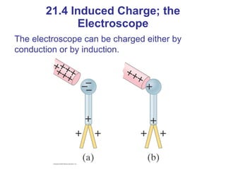 21.4 Induced Charge; the Electroscope The electroscope can be charged either by conduction or by induction. 