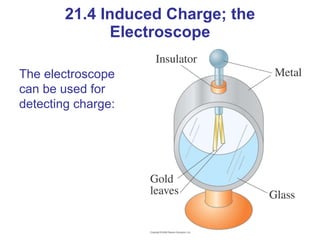 21.4 Induced Charge; the Electroscope The electroscope can be used for detecting charge: 