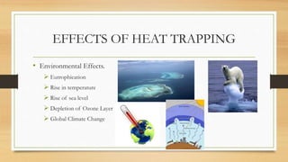 EFFECTS OF HEAT TRAPPING
• Environmental Effects.
 Eutrophication
 Rise in temperature
 Rise of sea level
 Depletion of Ozone Layer
 Global Climate Change
 