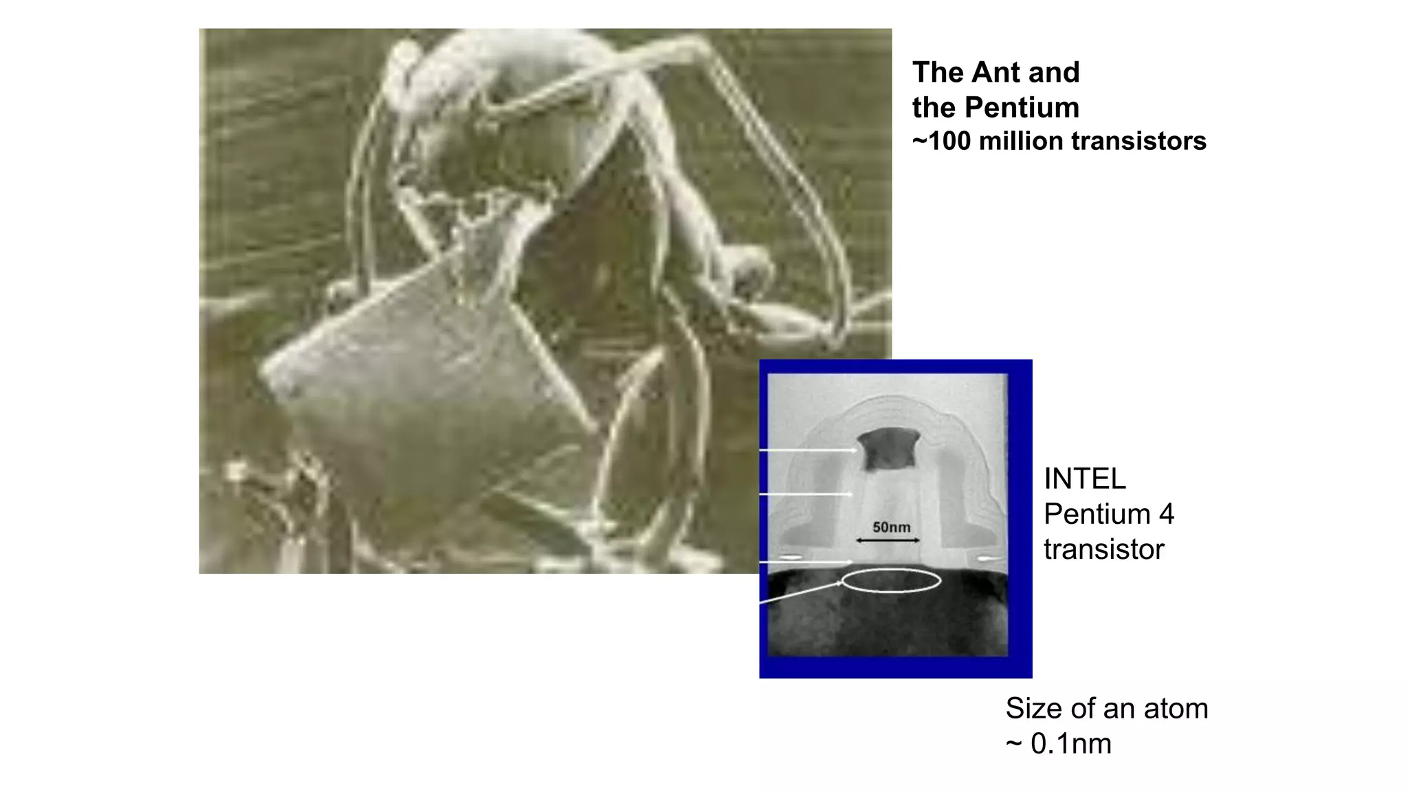 INTEL
Pentium 4
transistor
The Ant and
the Pentium
~100 million transistors
Size of an atom
~ 0.1nm
 