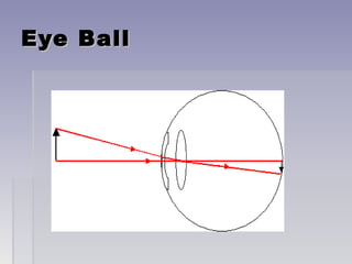 Eye BallEye Ball
 