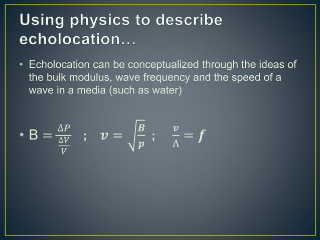 Physics and echolocation | PPTX | Physics | Science