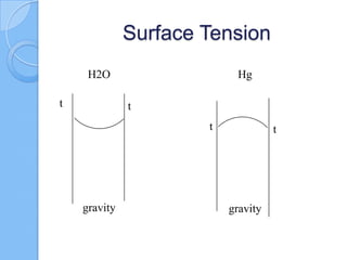 Surface Tension
t t
gravity
t t
gravity
H2O Hg
 