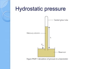 Hydrostatic pressure
 
