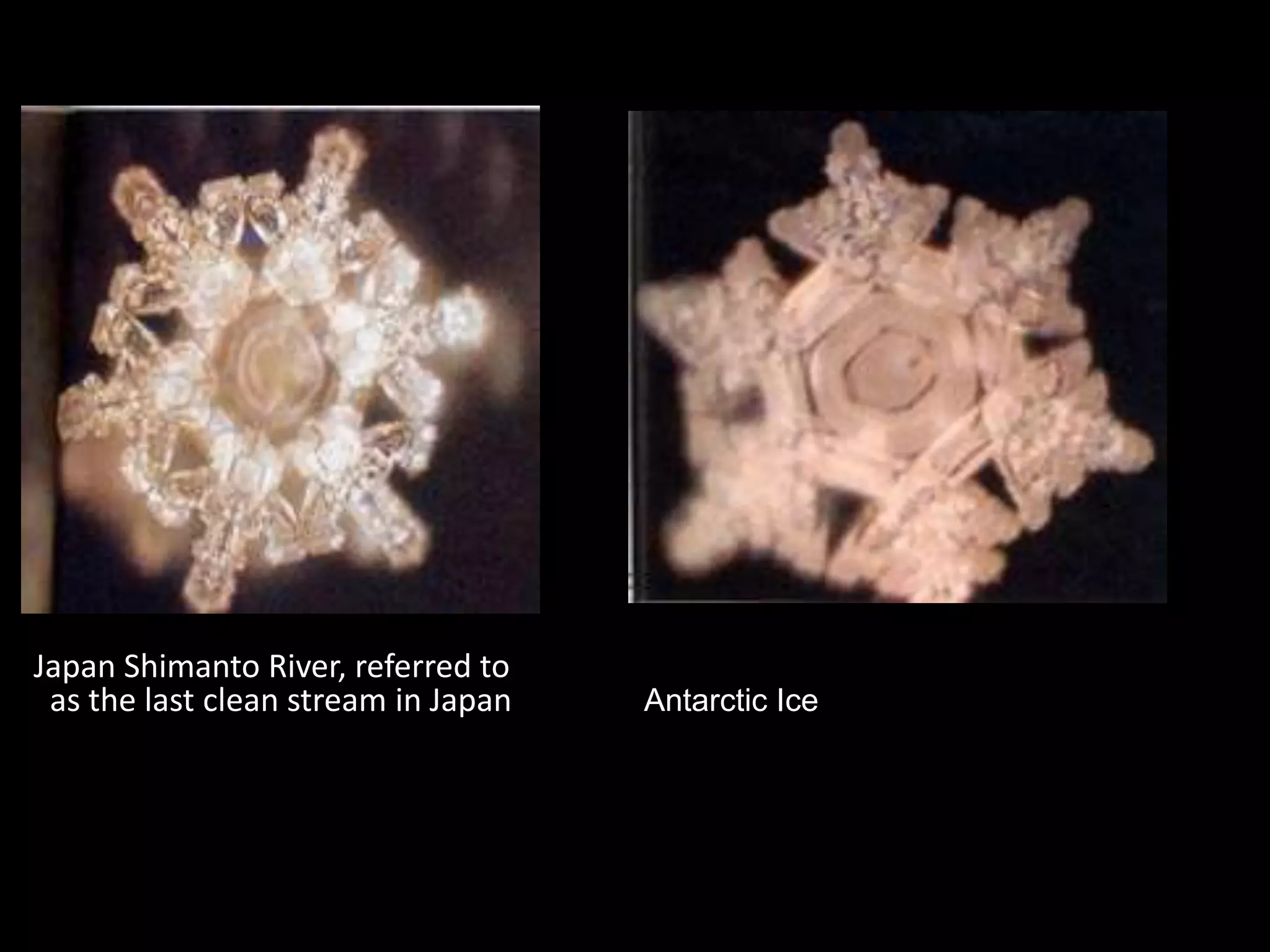 Antarctic Ice    Japan Shimanto River, referred to as the last clean stream in Japan