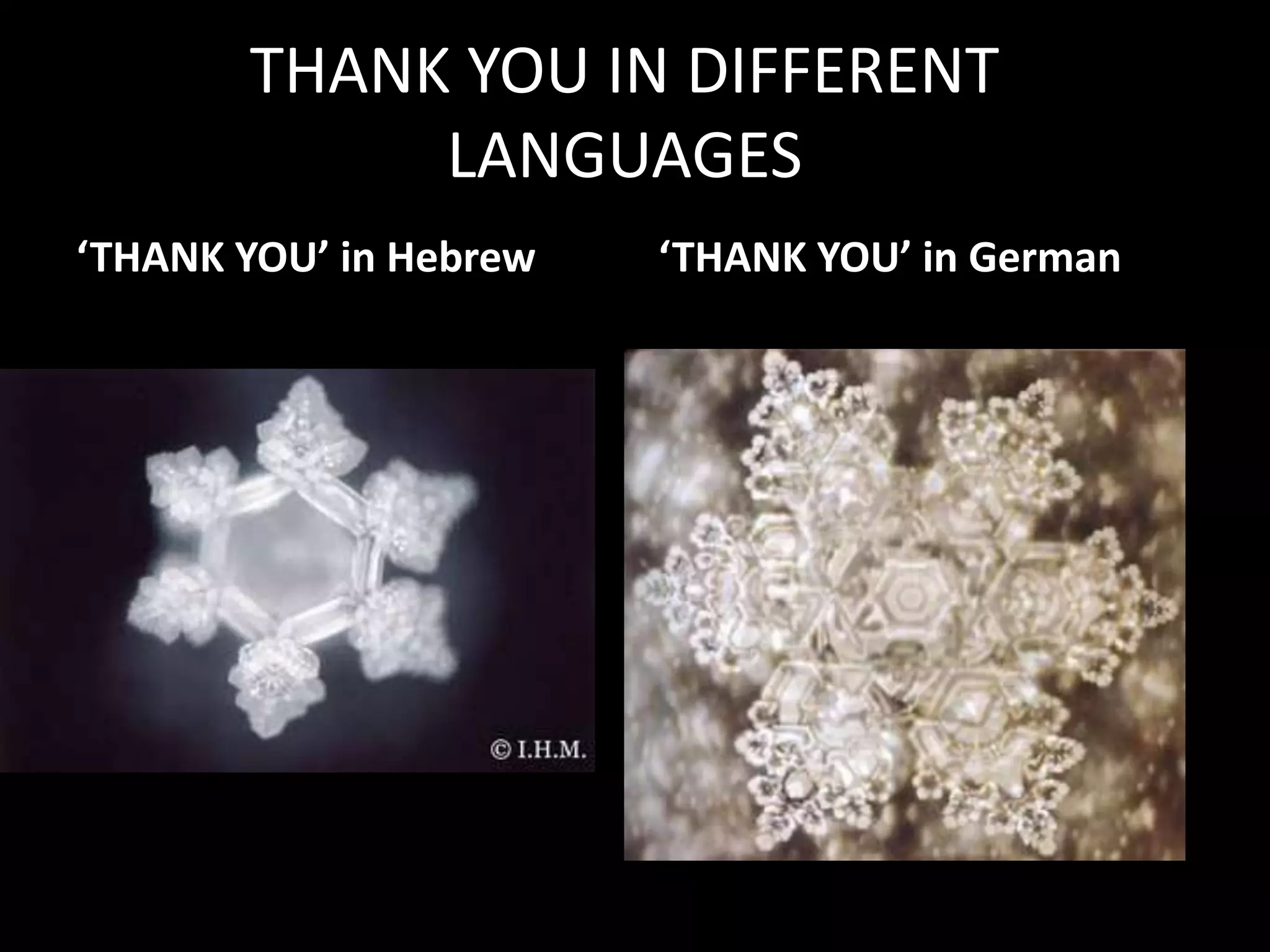 THANK YOU IN DIFFERENT LANGUAGES‘THANK YOU’ in Hebrew‘THANK YOU’ in German 