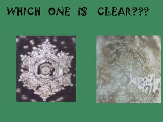 WHICH   ONE   IS    CLEAR??? 