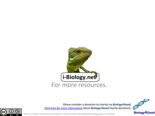 For more resources.

                                      Please consider a donation to charity via Biology4Good.
                      Click here for more information about Biology4Good charity donations.
This is a Creative Commons presentation. It may be linked and embedded but not sold or re-hosted.
 