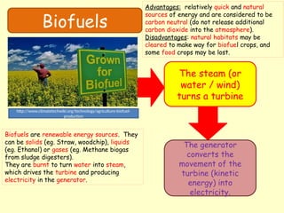 Biofuels
The steam (or
water / wind)
turns a turbine
The generator
converts the
movement of the
turbine (kinetic
energy) into
electricity.
Biofuels are renewable energy sources. They
can be solids (eg. Straw, woodchip), liquids
(eg. Ethanol) or gases (eg. Methane biogas
from sludge digesters).
They are burnt to turn water into steam,
which drives the turbine and producing
electricity in the generator.
http://www.climatetechwiki.org/technology/agriculture-biofuel-
production
Advantages: relatively quick and natural
sources of energy and are considered to be
carbon neutral (do not release additional
carbon dioxide into the atmosphere).
Disadvantages: natural habitats may be
cleared to make way for biofuel crops, and
some food crops may be lost.
 