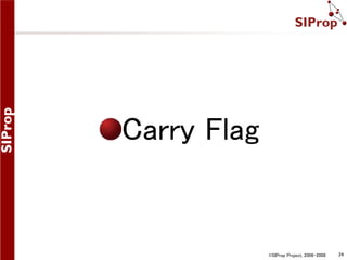 ©SIProp Project, 2006-2008 24 
Carry Flag 
 