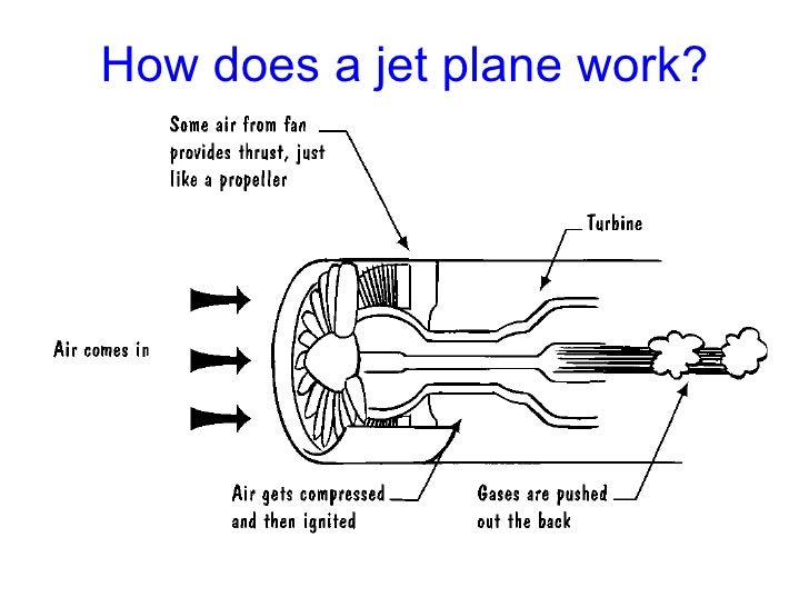 what is newton s first law of motion