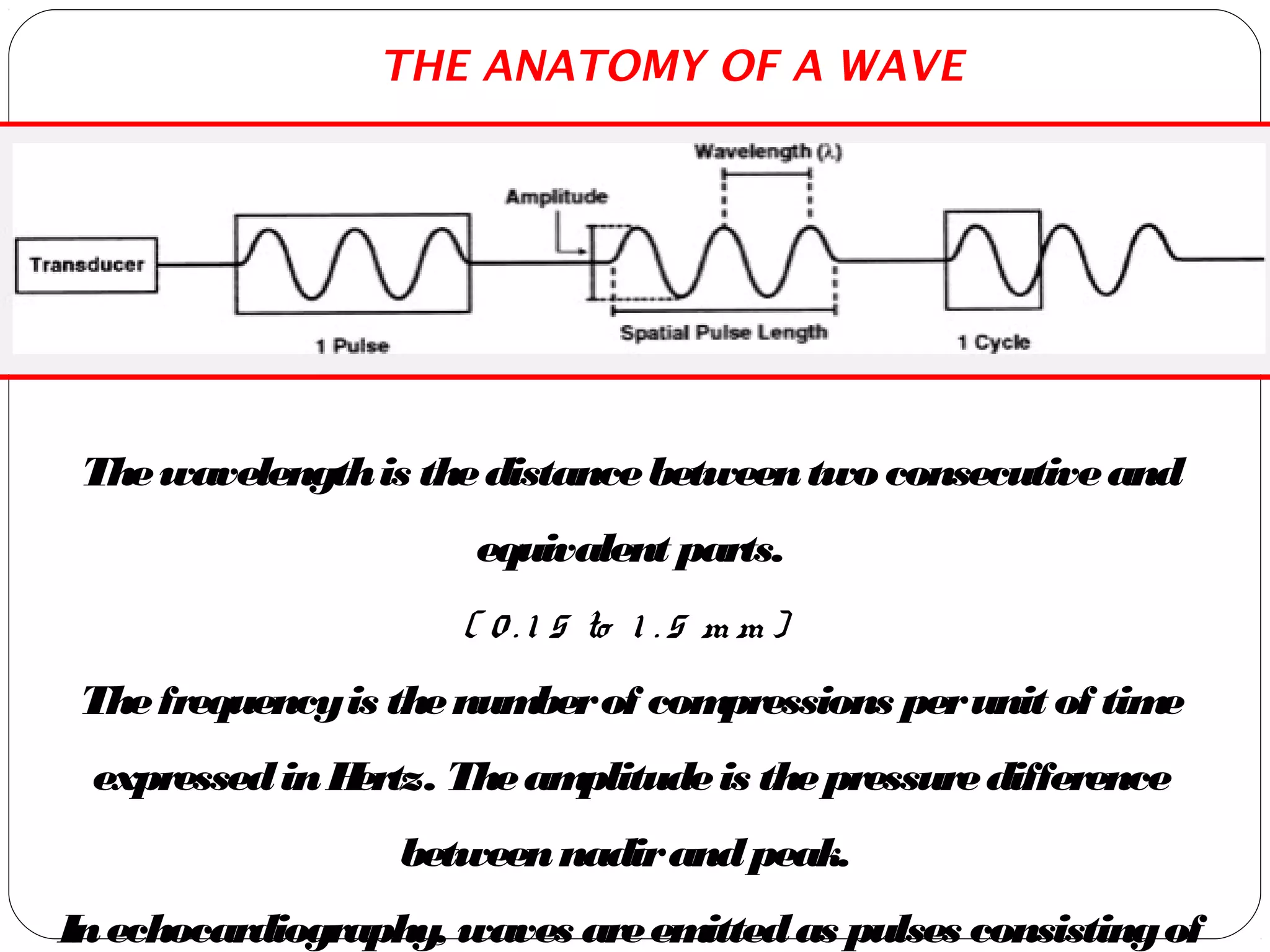 Thewavelengthis thedistancebetweentwoconsecutiveand
equivalent parts.
( 0 . 1 5 to 1 . 5 m m )
Thefrequencyis thenumberof compressions perunit of time
expressedinHertz. Theamplitudeis thepressuredifference
betweennadirandpeak.
Inechocardiography, waves areemittedas pulses consistingof
THE ANATOMY OF A WAVE
 