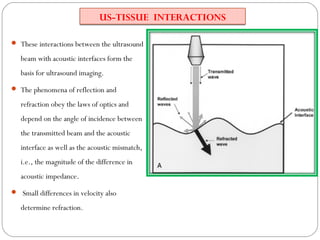 US-TISSUE INTERACTIONS
 These interactions between the ultrasound
beam with acoustic interfaces form the
basis for ultras...