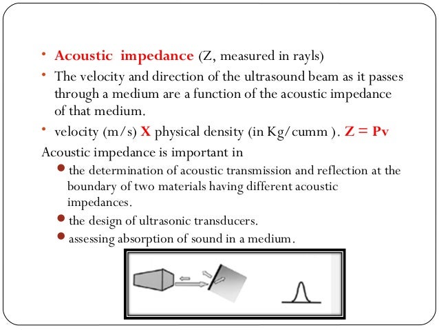 Physics Of Echo I Tammi Raju