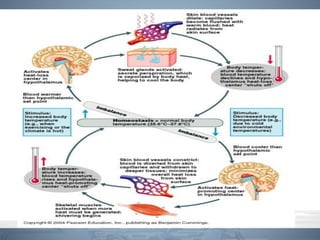 Physics of Heat Radiation and electrotherapy management | PDF