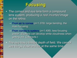 FocusingFocusing
• The cornea and eye lens form a compoundThe cornea and eye lens form a compound
lens system, producing alens system, producing a realreal invertedinverted imageimage
on the retina.on the retina.
– From air to corneaFrom air to cornea (n=1.376): large bending, the(n=1.376): large bending, the
main focusing.main focusing.
– From cornea to eyelensFrom cornea to eyelens (n=1.406), less focusing(n=1.406), less focusing
power. (Eyelens can develop white cloudiness whenpower. (Eyelens can develop white cloudiness when
getting old: Cataracts.)getting old: Cataracts.)
• The eye has a limited depth of field. We cannotThe eye has a limited depth of field. We cannot
see things close and far at the same time.see things close and far at the same time.
 