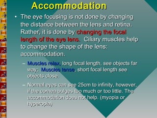 AccommodationAccommodation
• The eye focusing is not done by changingThe eye focusing is not done by changing
the distance between the lens and retinathe distance between the lens and retina..
Rather, it is done byRather, it is done by changing the focalchanging the focal
length of the eye lens.length of the eye lens. Ciliary muscles helpCiliary muscles help
to change the shape of the lens:to change the shape of the lens:
accommodation.accommodation.
– Muscles relax,Muscles relax, long focal length, see objects farlong focal length, see objects far
way;way; Muscles tenseMuscles tense, short focal length see, short focal length see
objects close.objects close.
– Normal eyes can see 25cm to infinity, however,Normal eyes can see 25cm to infinity, however,
if the cornea bulges too much or too little. Theif the cornea bulges too much or too little. The
accommodation does not help. (myopia oraccommodation does not help. (myopia or
hyperopia)hyperopia)
 