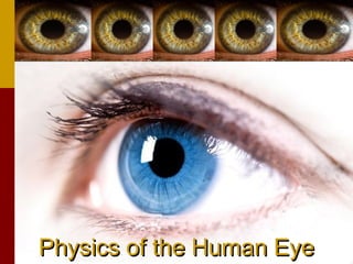 Physics of the Human EyePhysics of the Human Eye
 