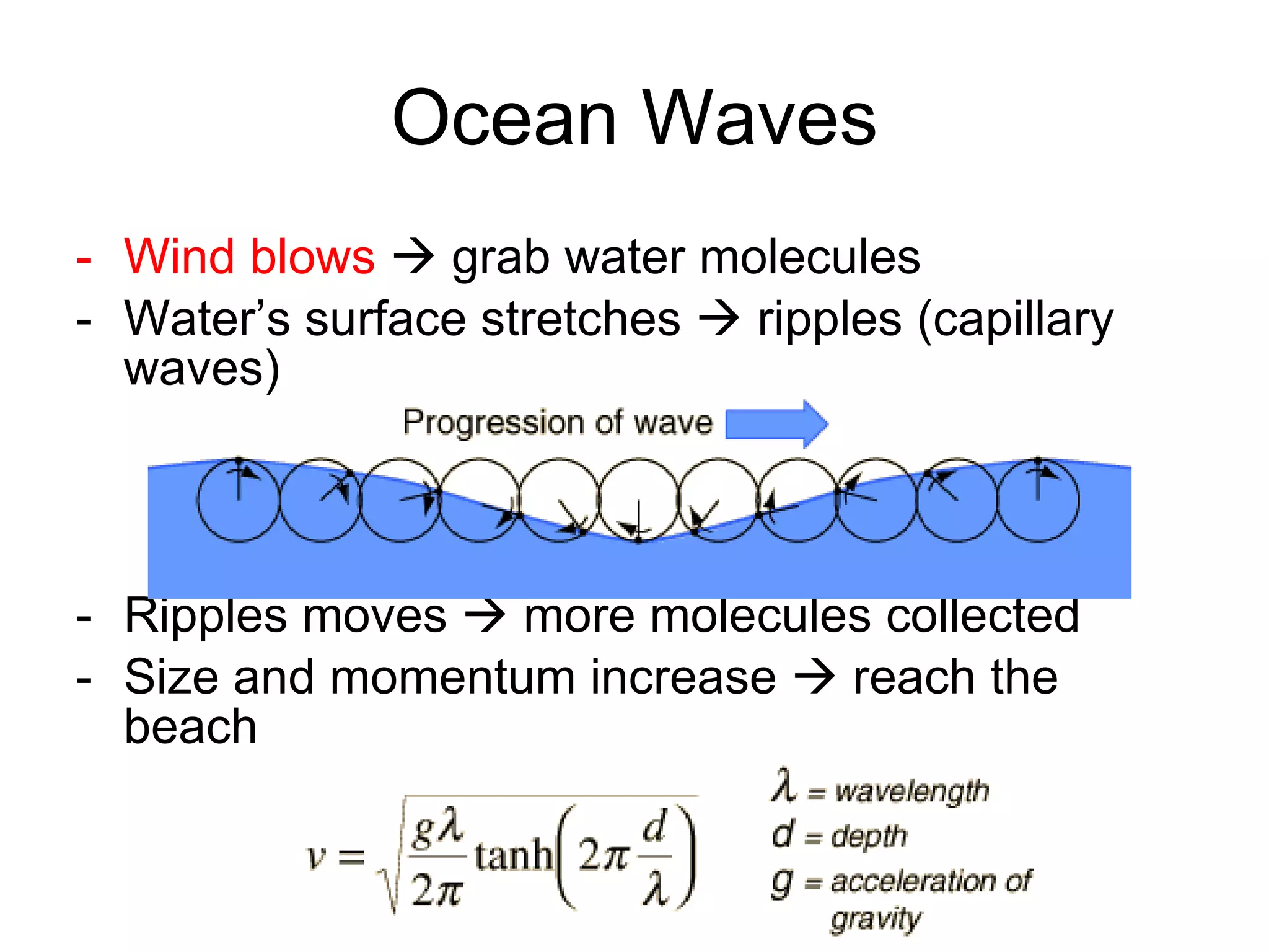 Ocean Waves Wind blows     grab water molecules Water’s surface stretches    ripples (capillary waves) Ripples moves    more molecules collected Size and momentum increase    reach the beach 