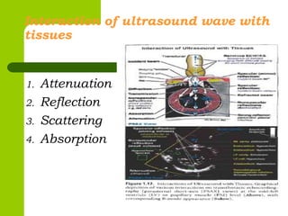 Physics of ultrasound and echocardiography | PPTX