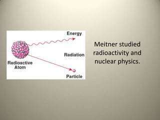 Meitner studied radioactivity and nuclear physics. 