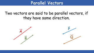 Parral Vector Physics Class 11 ppt Slides Chapter 2.pptx