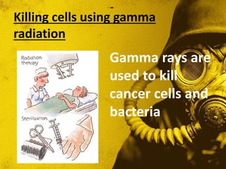 People Using Gamma Rays Radioactivity | PPTX