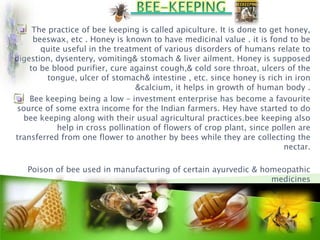 The practice of bee keeping is called apiculture. It is done to get honey,
     beeswax, etc . Honey is known to have medicinal value . it is fond to be
       quite useful in the treatment of various disorders of humans relate to
digestion, dysentery, vomiting& stomach & liver ailment. Honey is supposed
    to be blood purifier, cure against cough,& cold sore throat, ulcers of the
         tongue, ulcer of stomach& intestine , etc. since honey is rich in iron
                                &calcium, it helps in growth of human body .
    Bee keeping being a low – investment enterprise has become a favourite
 source of some extra income for the Indian farmers. Hey have started to do
  bee keeping along with their usual agricultural practices.bee keeping also
           help in cross pollination of flowers of crop plant, since pollen are
transferred from one flower to another by bees while they are collecting the
                                                                         nectar.

   Poison of bee used in manufacturing of certain ayurvedic & homeopathic
                                                                medicines
 