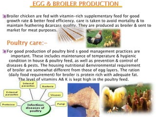 Broiler chicken are fed with vitamin-rich supplementary feed for good
growth rate & better feed efficiency. care is taken to avoid mortality & to
maintain feathering &carcass quality. They are produced as broiler & sent to
market for meat purposes.




For good production of poultry bird s good management practices are
  important. These includes maintenance of temperature & hygienic
 condition in house & poultry feed, as well as prevention & control of
diseases & pests. The housing nutritional &environmental requirement
of broiler are somewhat different from those of egg layers. The ration
 (daily food requirement) for broiler is protein rich with adequate fat.
       The level of vitamins A& K is kept high in the poultry feed.
 