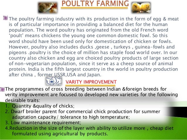 essay on animal husbandry